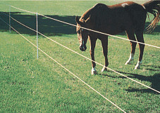 AGRISELLEX - ELECTRIC FENCING FOR HORSES, ELECTRIC POULTRY