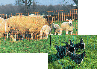 garden and lamb electric netting