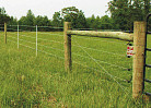 high tensile electric fence with fiberglass battens