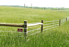 horse fence with coated high tensile wire