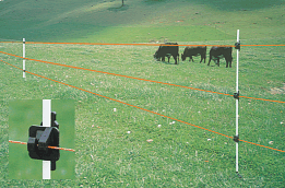 HOW TO INSTALL AND USE A TEMPORARY ELECTRIC FENCE FOR CATTLE