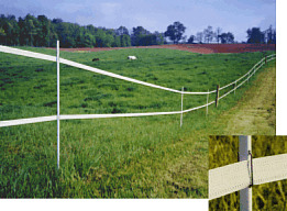 Electric Fence Fencing 4ft post,40mm tape xvalue kit 