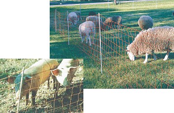 TAPES, WIRES AND BRAIDS GALLAGHER PORTABLE ELECTRIC FENCE