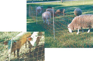 NETTING KIT LT; ELECTRIC FENCE KITS AND NETTING | ZAREBA