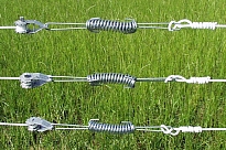 springs & tighteners in horse fence of Supercote wire