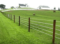 ELECTRIC HORSE FENCING | HOTCOTE COATED WIRE FENCE