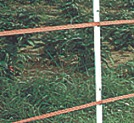 Hot Tape garden fence
