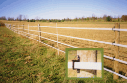 equine fence made of electrified Horse Tape
