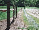 high tensile wire electric deer fence