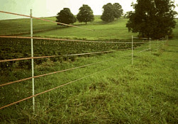 Hot Tape fence to protect a truck garden from deer.