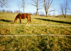 Trail Ride Kit corral