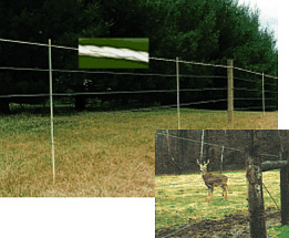 electric deer fence from high tensile wire with one Super Rope strand on top