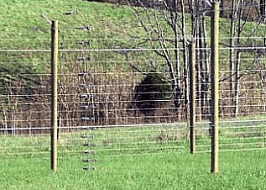 high tensile wire veneyard fence